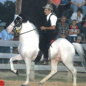 Meet your Posher, Ronald